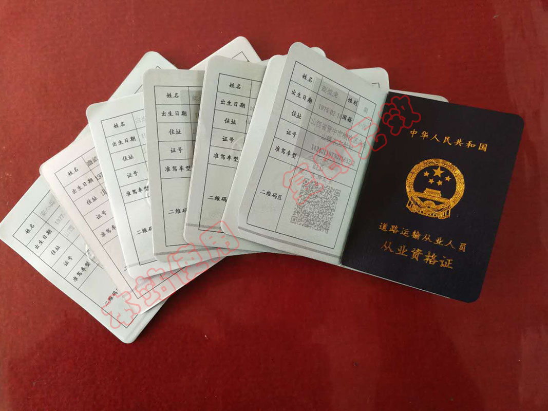 駕駛人員從業資格證A1