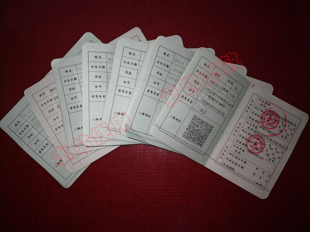 駕駛人員從業資格證A3